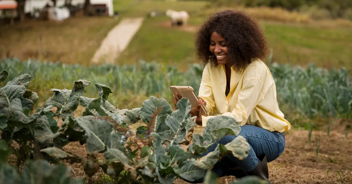 connectivity and infrastructure issues