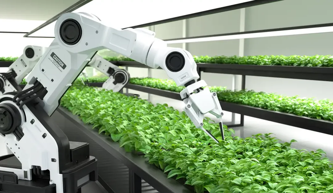 Embracing Technology in the Farming Sector: Transforming Agriculture for a Sustainable Future
